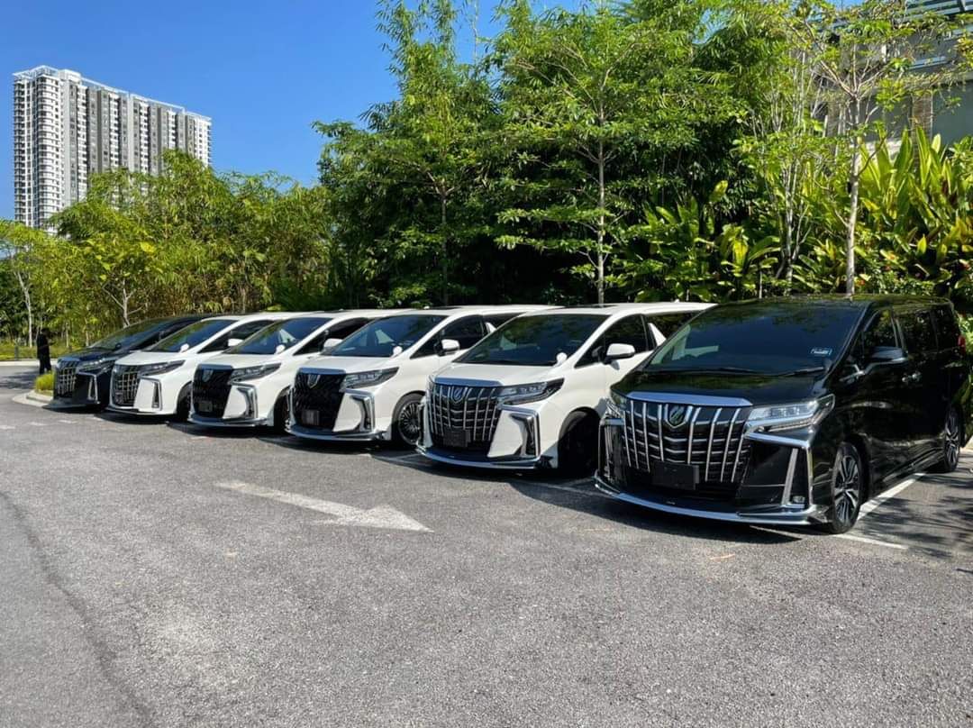 A row of Toyota Alphard MPVs parked along a road